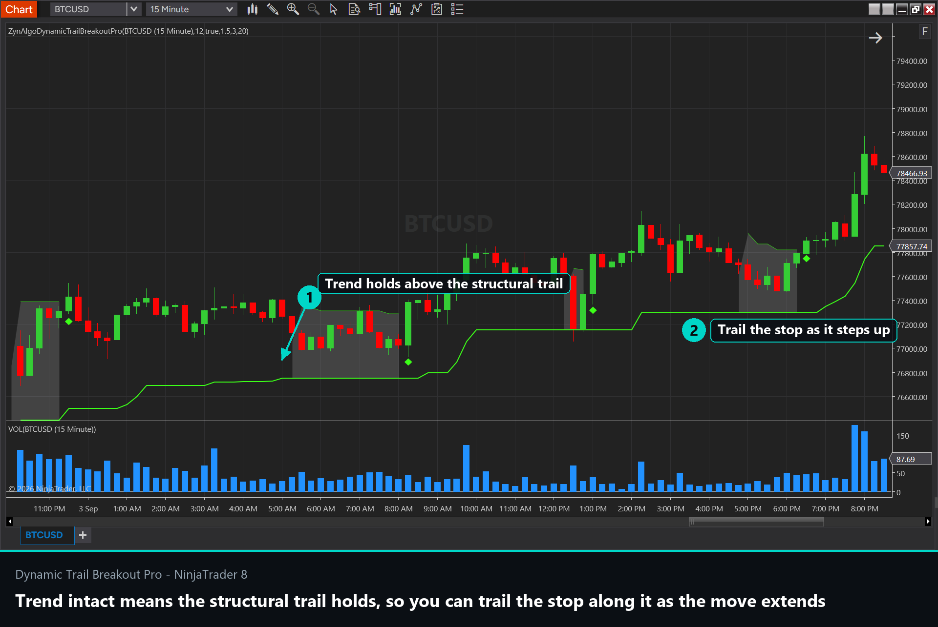 Dynamic Trail Breakout Pro NT8 — thumbnail 5